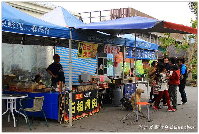 池上鄉農會四季花海05.jpg 池上鄉農會四季花海05.jpg