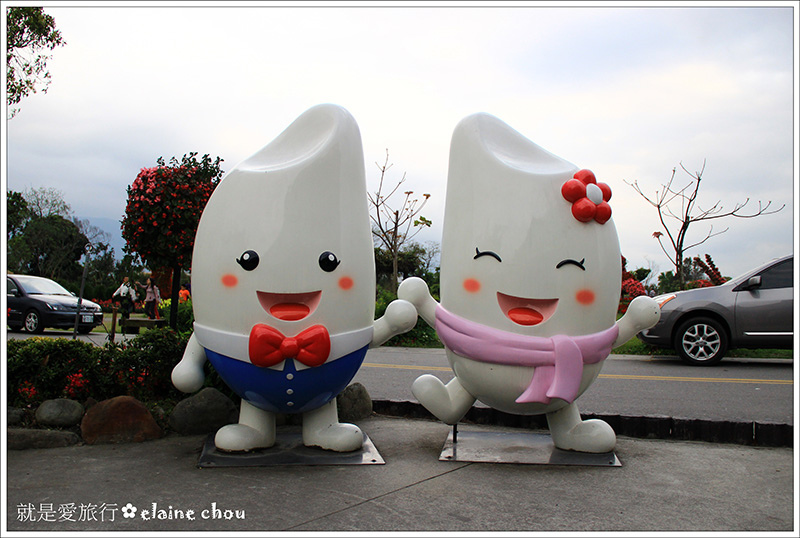 池上鄉農會四季花海09.jpg 池上鄉農會四季花海09.jpg