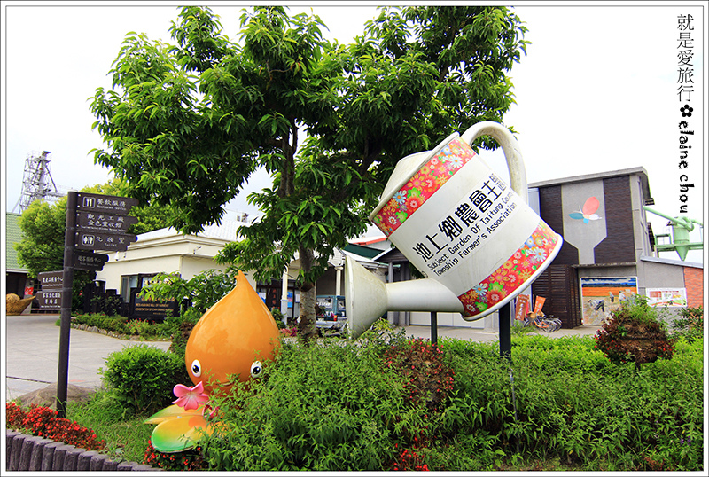 池上鄉農會四季花海10.jpg 池上鄉農會四季花海10.jpg