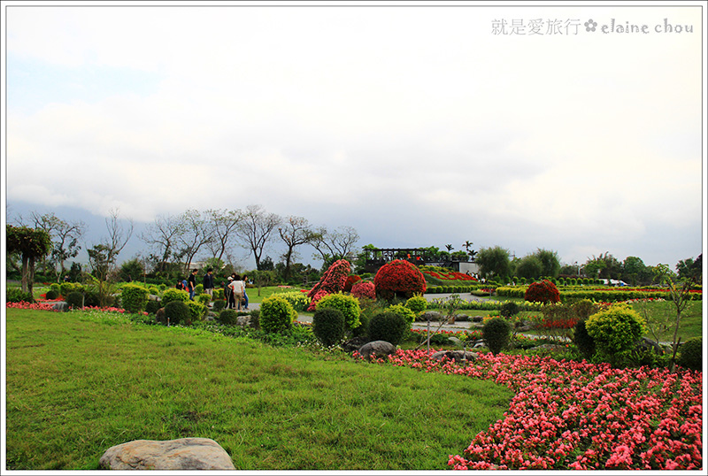 池上鄉農會四季花海16.jpg 池上鄉農會四季花海16.jpg