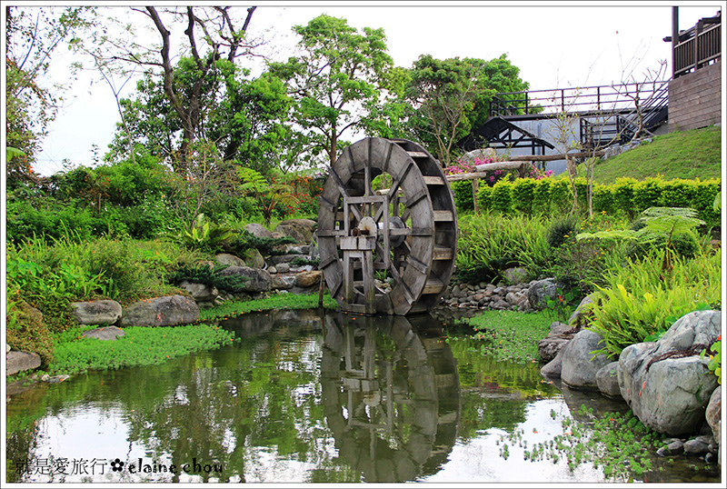 池上鄉農會四季花海17.jpg 池上鄉農會四季花海17.jpg
