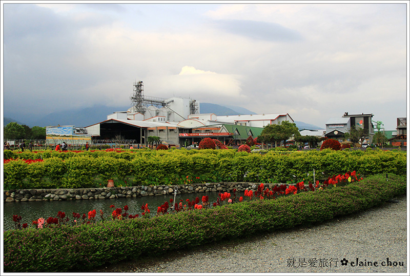 池上鄉農會四季花海18.jpg 池上鄉農會四季花海18.jpg