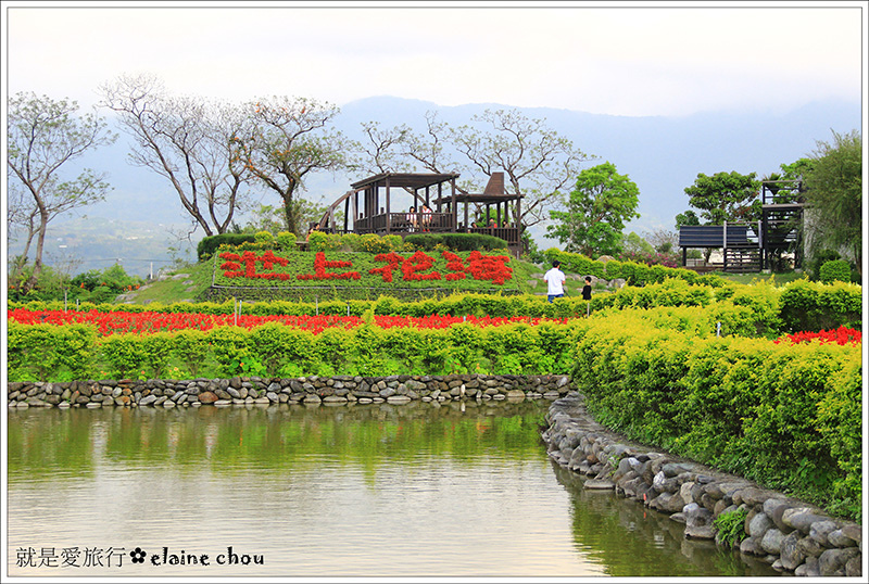 池上鄉農會四季花海22.jpg 池上鄉農會四季花海22.jpg