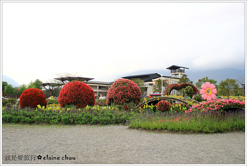 池上鄉農會四季花海23.jpg 池上鄉農會四季花海23.jpg