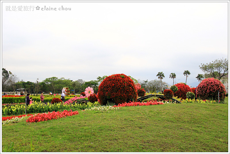 池上鄉農會四季花海26.jpg 池上鄉農會四季花海26.jpg