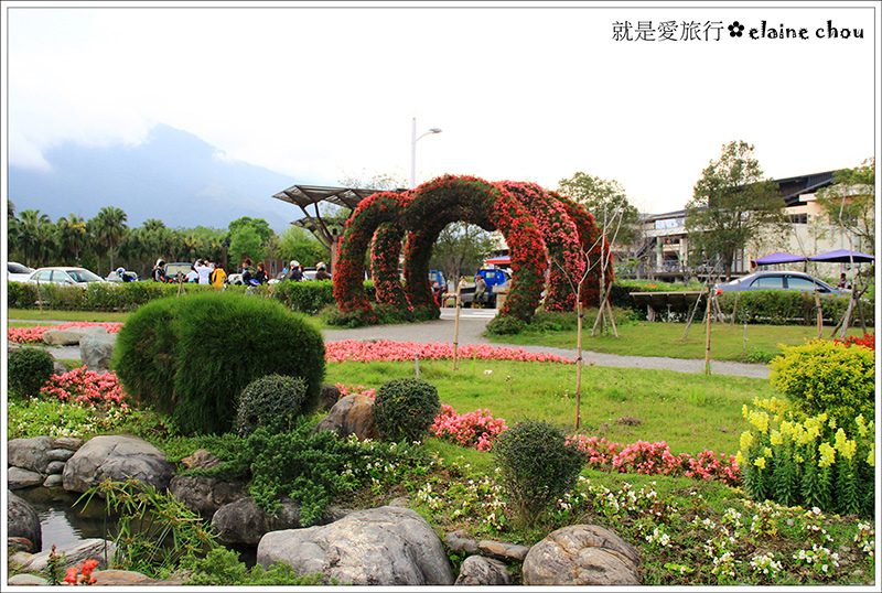 池上鄉農會四季花海28.jpg 池上鄉農會四季花海28.jpg