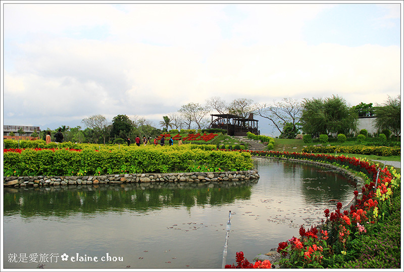 池上鄉農會四季花海30.jpg 池上鄉農會四季花海30.jpg