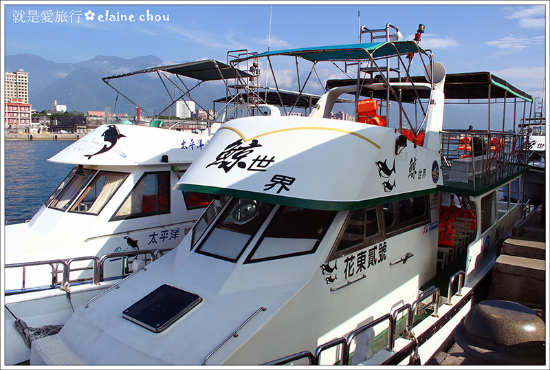 花蓮賞鯨05.jpg 花蓮賞鯨05.jpg