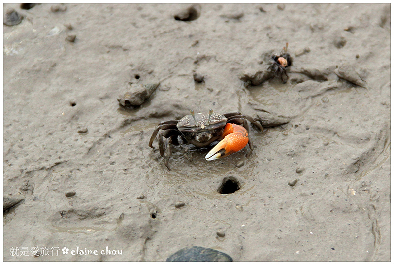 建功嶼24.JPG 建功嶼24.JPG