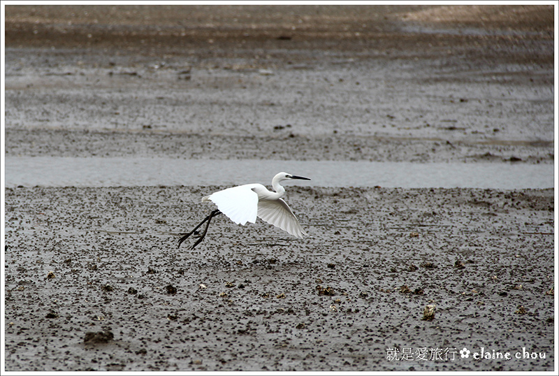 建功嶼31.JPG 建功嶼31.JPG