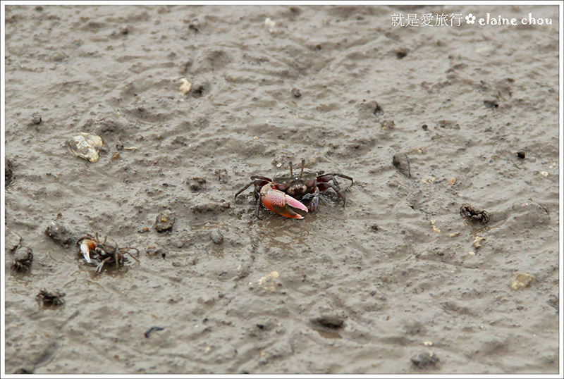 建功嶼36.JPG 建功嶼36.JPG