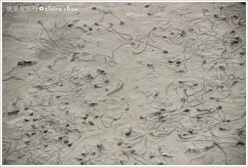 建功嶼41.JPG 建功嶼41.JPG