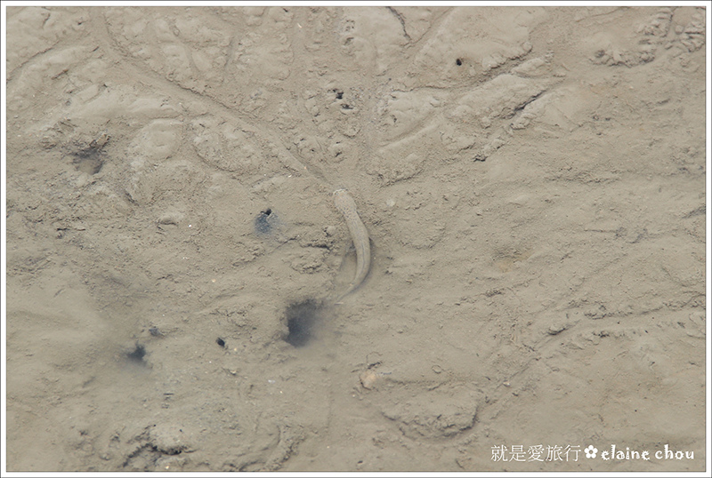 建功嶼42.JPG 建功嶼42.JPG