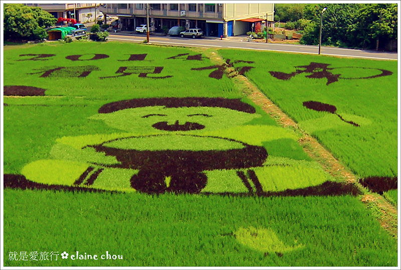2014台南好米嘉年華(彩繪稻田)14.jpg