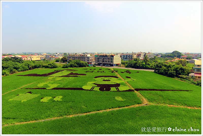 2014台南好米嘉年華(彩繪稻田)15.JPG