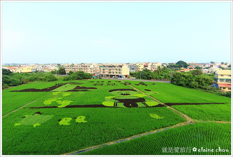 2014台南好米嘉年華(彩繪稻田)19.JPG