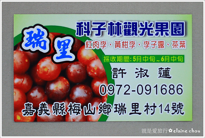 科仔林觀光果園31.JPG