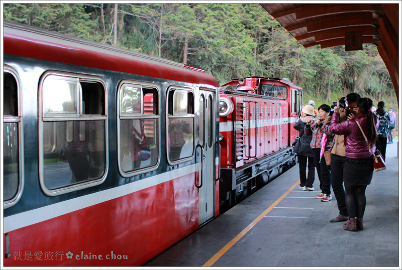 阿里山17.jpg
