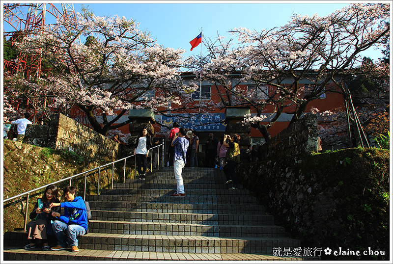 阿里山53.JPG