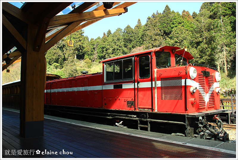 阿里山97.JPG