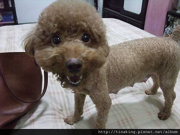 DSCF4153.jpg DSCF4153.jpg