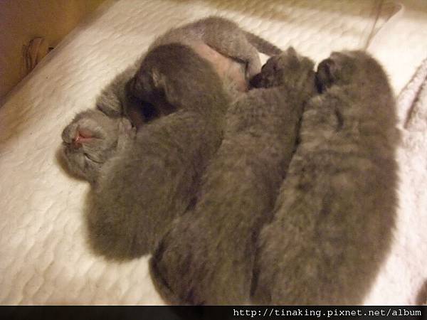 DSCF4700.jpg DSCF4700.jpg