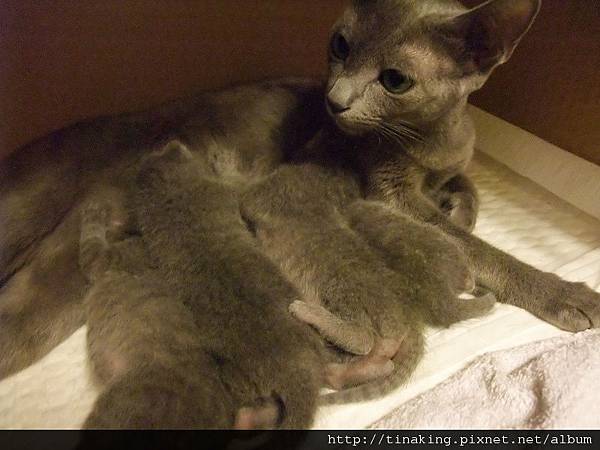 DSCF4703.jpg DSCF4703.jpg