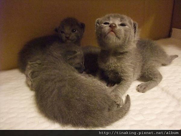 DSCF4730.jpg DSCF4730.jpg