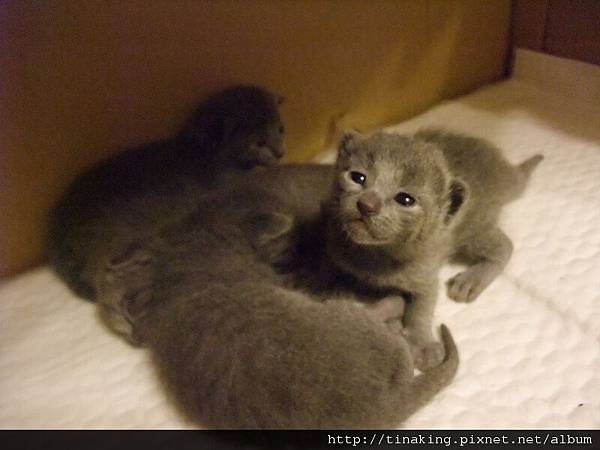 DSCF4732.jpg DSCF4732.jpg