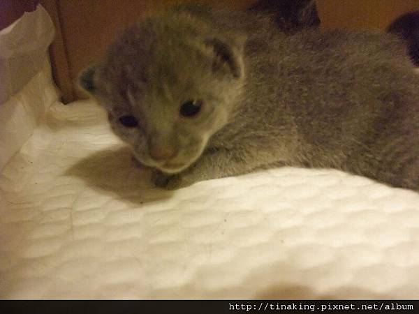 DSCF4734.jpg DSCF4734.jpg