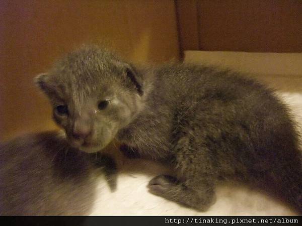 DSCF4735.jpg DSCF4735.jpg