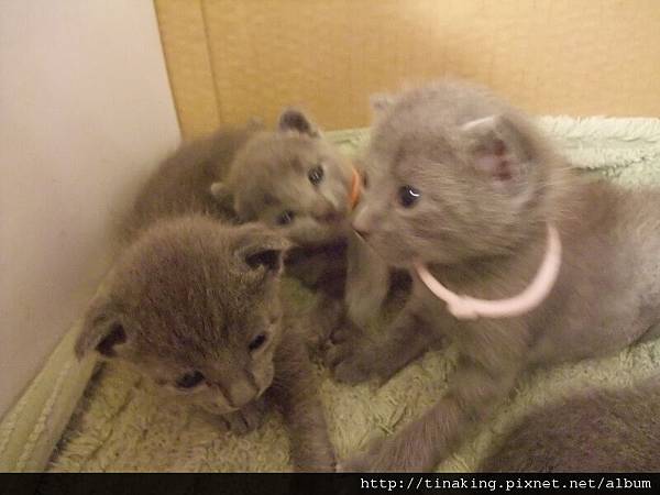 DSCF4810.jpg DSCF4810.jpg