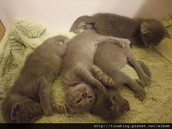 DSCF4789.jpg DSCF4789.jpg