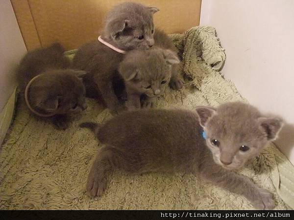 DSCF4807.jpg DSCF4807.jpg