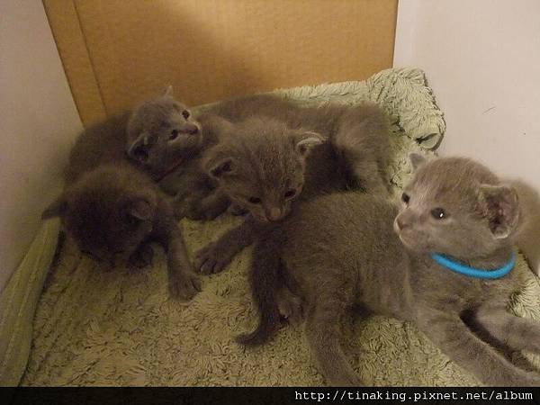 DSCF4809.jpg DSCF4809.jpg