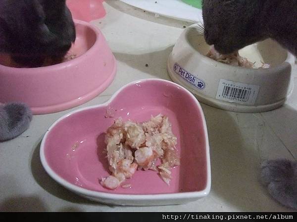 DSCF4804.jpg DSCF4804.jpg