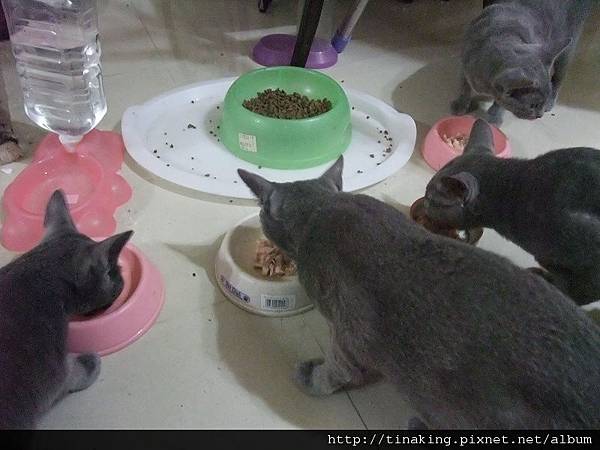 DSCF4803.jpg DSCF4803.jpg