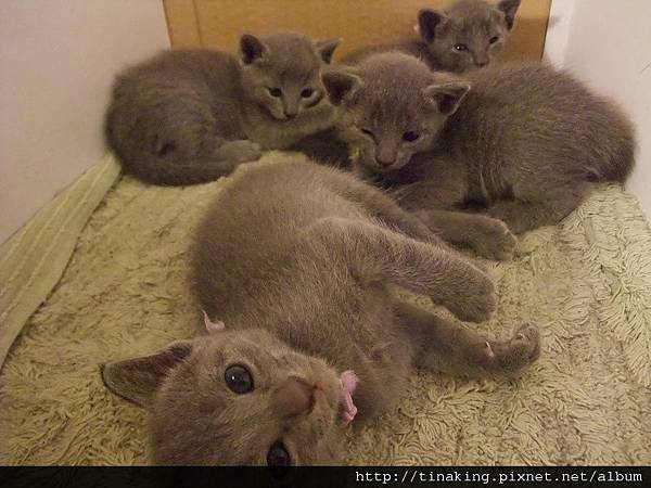 DSCF4840.jpg DSCF4840.jpg