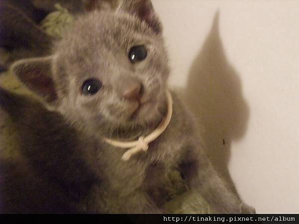 DSCF4846.jpg DSCF4846.jpg