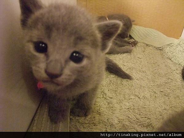 DSCF4860.jpg DSCF4860.jpg