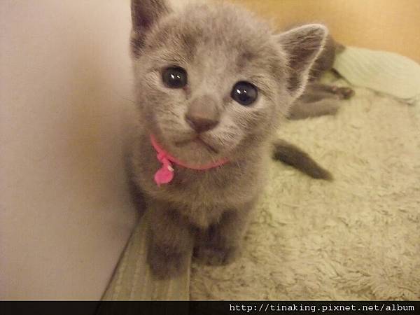 DSCF4862.jpg DSCF4862.jpg