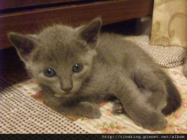 DSCF5023.jpg DSCF5023.jpg