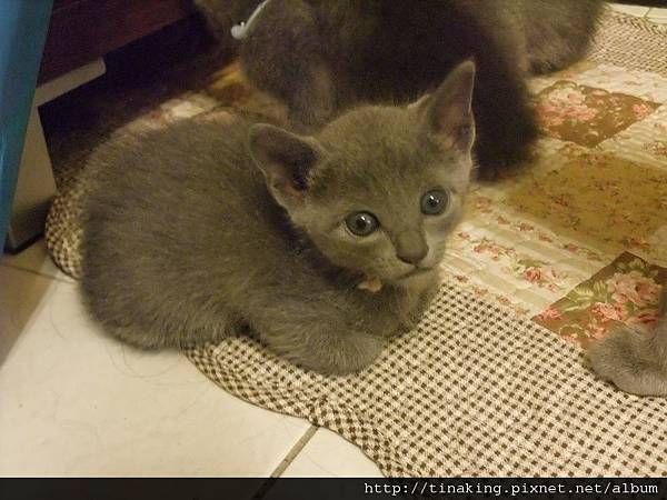 DSCF5035.jpg DSCF5035.jpg