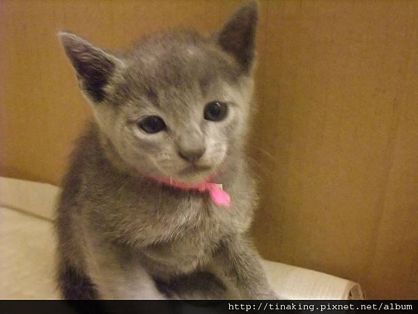 DSCF5040.jpg DSCF5040.jpg