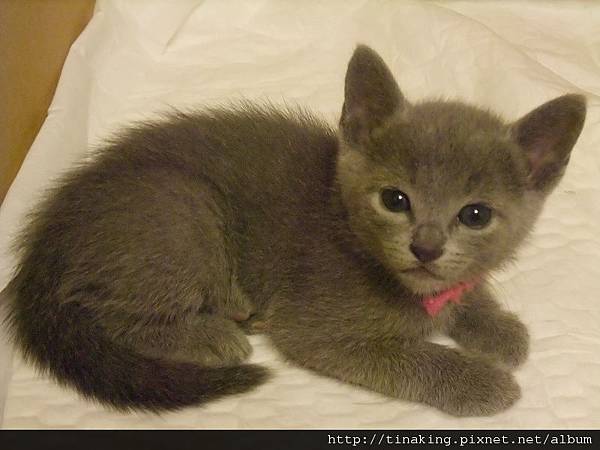 DSCF5045.jpg DSCF5045.jpg