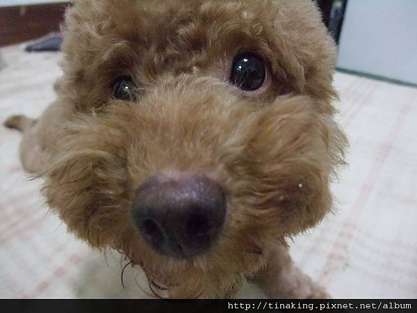 DSCF4157.jpg DSCF4157.jpg