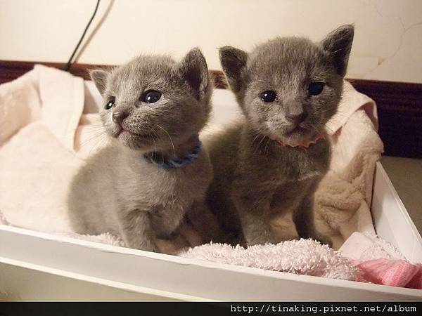 DSCF3955.jpg DSCF3955.jpg