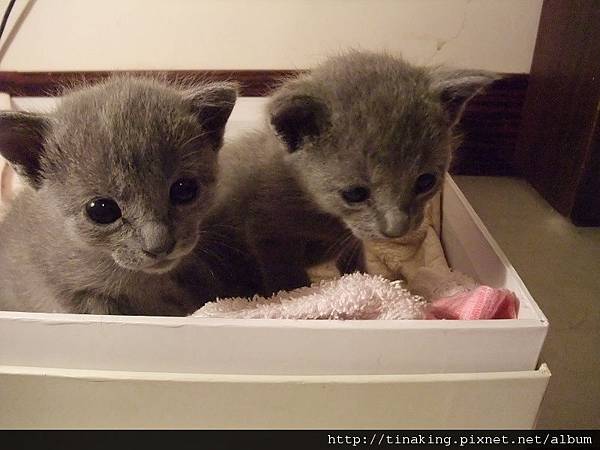 DSCF3954.jpg DSCF3954.jpg