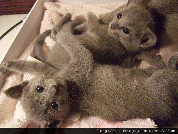 DSCF4003.jpg DSCF4003.jpg