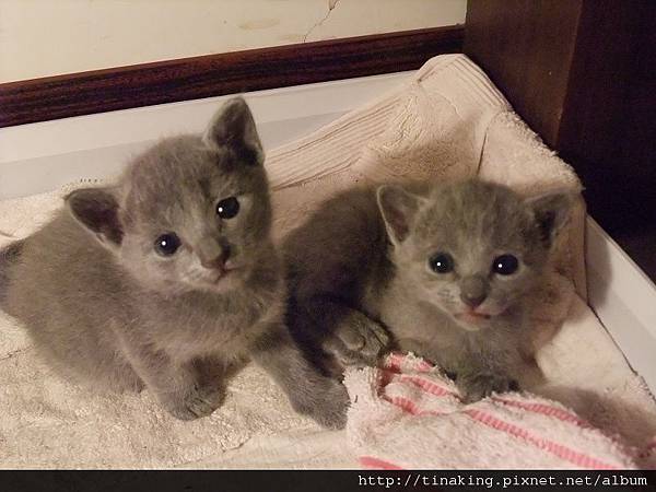 DSCF3986.jpg DSCF3986.jpg